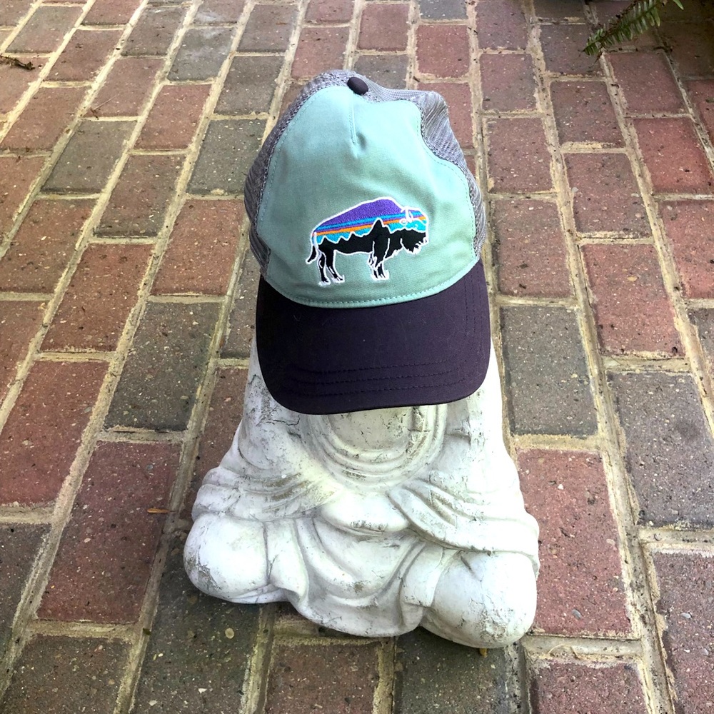 Patagonia hat. Womens